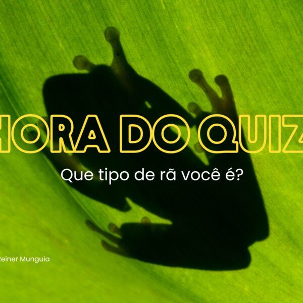 Quiz: Que tipo de rã você é?