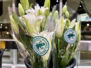 Two bouquets of white flowers display the Rainforest Alliance seal