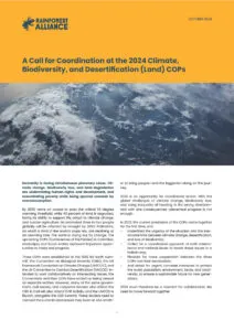 A Call for Coordination at the 2024 Climate, Biodiversity, and Desertification (Land) Cops Position Paper thumbnail