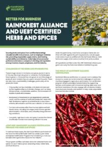 Better for Business: Rainforest Alliance and Uebt Certified herbs and spices thumbanail cover.