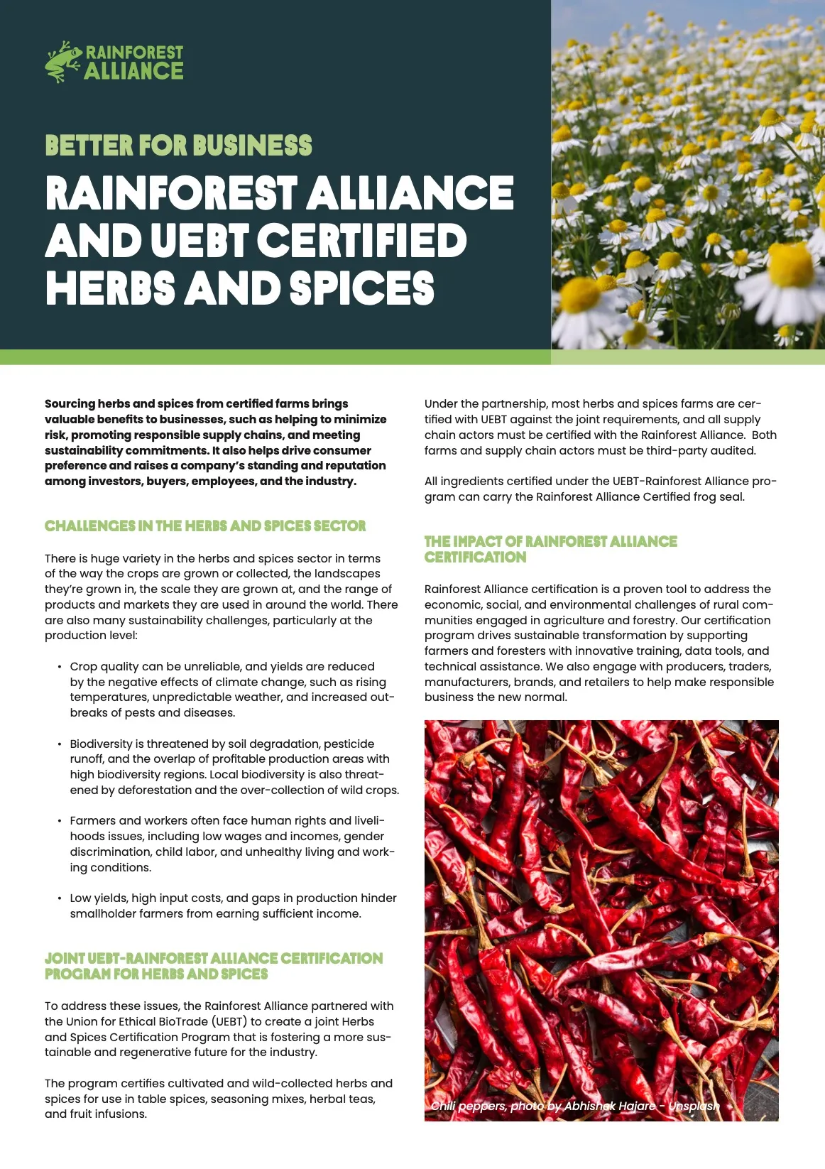 Better for Business: Rainforest Alliance and Uebt Certified herbs and spices thumbanail cover.