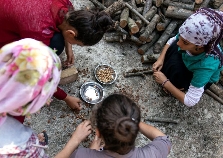 Women sort hazelnuts manually in farm in Turkey.