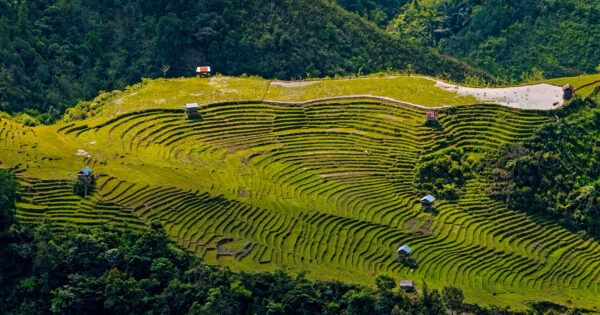 A field seen from very far above. It's cut into vertical tiers that appear like long, gentle steps and dotted with small buildings. Surrounding it are low mountains and trees.