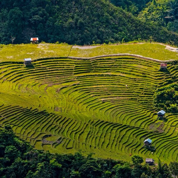 A field seen from very far above. It's cut into vertical tiers that appear like long, gentle steps and dotted with small buildings. Surrounding it are low mountains and trees.