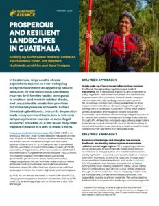 Prosperous and Resilient Landscapes Onesheet. Text reads: ProsPerous and resilient landscaPes in Guatemala Scaling up sustainable and low-emission livelihoods in Petén, the Western Highlands, and Alta and Baja Verapaz -In Guatemala, large swaths of rural populations depend on ever-collapsing ecosystems and fast-disappearing natural resources for their livelihoods. Decreased incomes limit families’ ability to respond to weather- and market-related shocks, and unsustainable production practices put immense pressure on forests, further threatening livelihoods. Economic desperation leads many communities to turn to informal, temporary income sources, or even illegal economic activities; as a last resort, they often migrate in search of a way to make a living. Prosperous and Resilient Landscapes (PRL) (2023-2028) is an ambitious, five-year USAID-funded initiative that builds on more than 30 years of Rainforest Alliance experience transforming sustainable natural-resource management and market systems in Guatemala. PRL is co-designed and implemented with the Association of Forest Communities of Petén (ACOFOP), Association of Organizations of the Cuchumatanes (ASOCUCH), and Federation of Cooperatives of the Verapaces (FEDECOVERA). The program engages with national and subnational governments, private sector actors, forest communities, Indigenous peoples, women, and other stakeholders to restore and protect natural landscapes and scale low-emission livelihoods across 1.8 million hectares of productive and forest landscapes in Petén, the Western Highlands, and the Verapaces. By 2028, PRL will reduce, sequester, or avoid 10.2M tons of CO2 e, with projected progressive emission reduction by 2030 of 20.8M tons CO2 e, representing 41 percent of Guatemala’s total 2030 NDC target. STRATEGIC APPROACH 1 Enable scale-up of forest conservation and low-emission livelihoods through policy, regulatory, and market instruments. PRL is developing, improving, and implementing policy, regulatory, and market instruments that facilitate the implementation of Guatemala’s national climate strategies and frameworks locally. Applying a landscape approach, PRL incentivizes collaboration among stakeholders to drive implementation of national climate strategies through the development of Landscape Action Plans (LAPs), which outline climate adaptation and mitigation actions included in Guatemala’s departmental climate change adaptation plans or its national Low Emission Development Strategy. Data collected through LAPs will feed into overlayed maps, offering stakeholders integrated ecological connectivity data for decision making on current and future land use, as well as emissions reduction data connecting multi-use farms at a landscape scale. STRATEGIC APPROACH 2 Restore rural landscapes and strengthen low-emission livelihoods, accelerating carbon capture and emissions reduction across target regions. PRL is supporting producers across landscapes to systematically measure and account for emissions in their production and transformation systems, identifying “leaks”— areas that contribute the highest emissions and have the greatest potential for reduction. Through easyto-use emission measurement tools, such as the Cool Farm Tool, 170 producers thus far have accounted for emissions within priority value chains (cardamom, coffee, cocoa, cattle) and co-constructed a plan with PRL to reduce their emissions through use of renewable fuel sources for drying, fertilizer and soil management, climate-smart livestock practices, and responsible sourcing of primary materials. This work scales the Rainforest Alliance’s productive landscape restoration approach1 1 A proven methodology for scaling regenerative and restorative practices, which combines behavior change and learning strategies that include visioning, land use planning, peer-to-peer experience exchange, and “model” or demonstration farms.