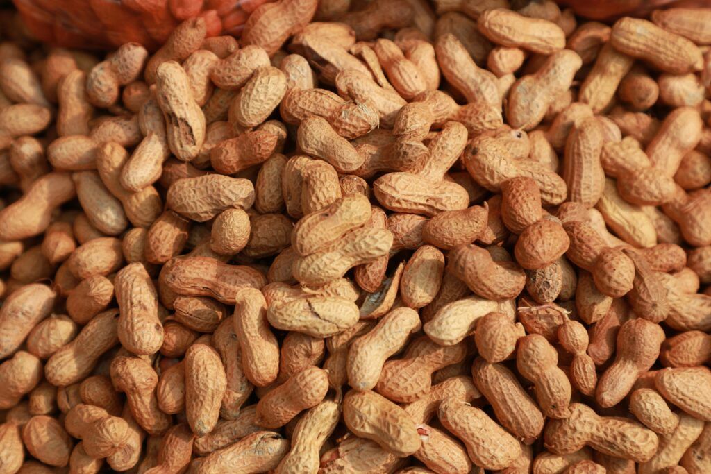 pile of peanut shellls