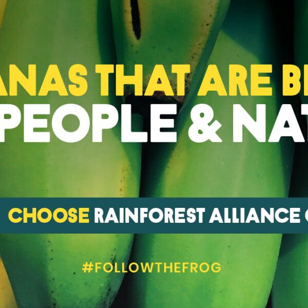 Bananas That Are Better For People and Nature digital graphic