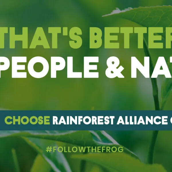 Tea That's Better For People & Nature digital graphic