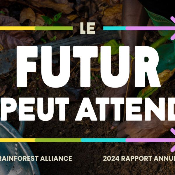 preview image annual report 2024