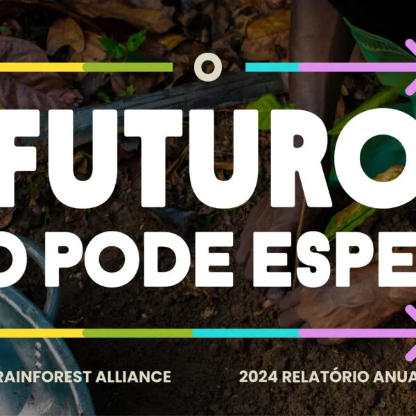 Annual Report 2024 thumbnail