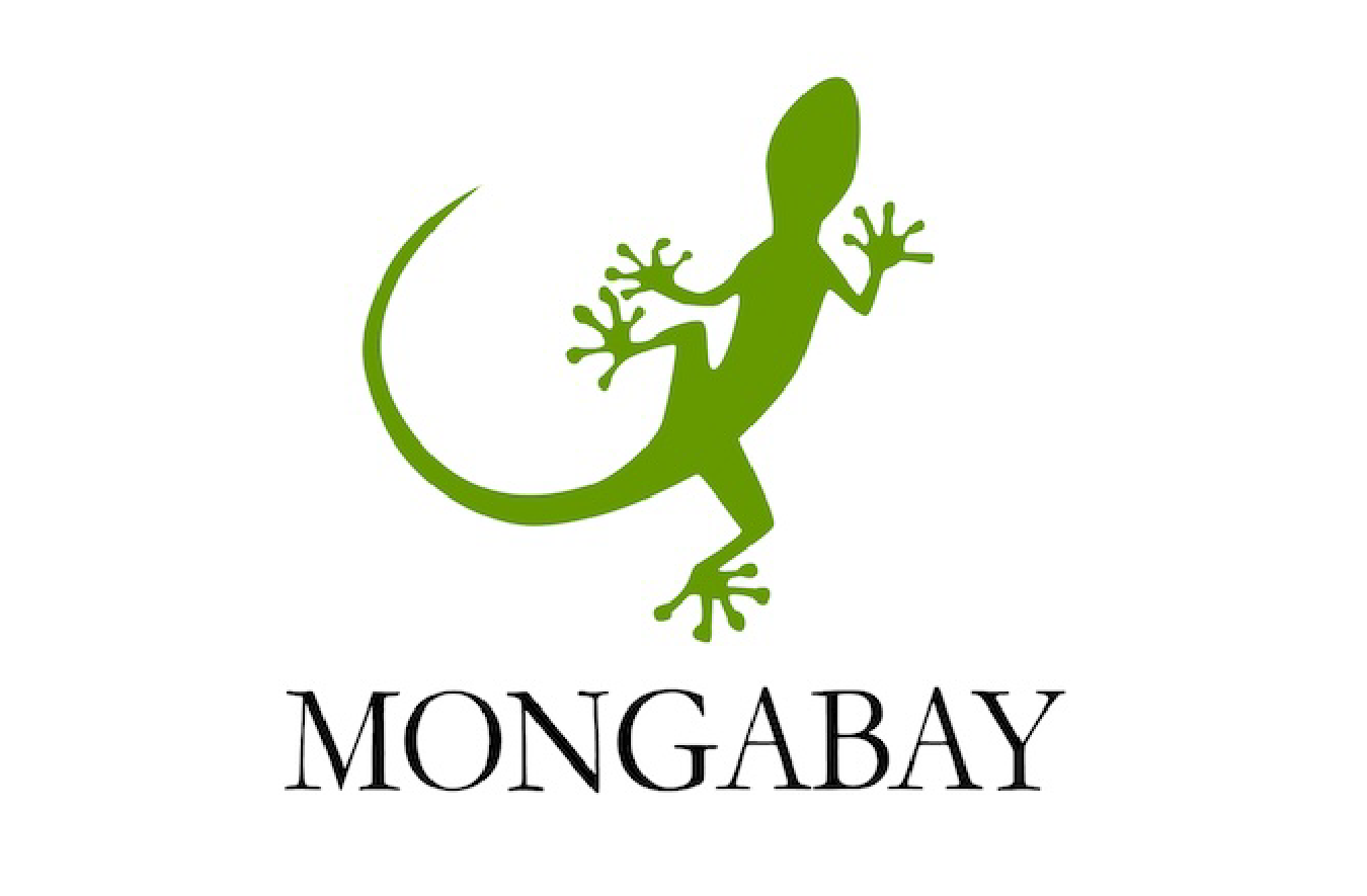 Mongabay