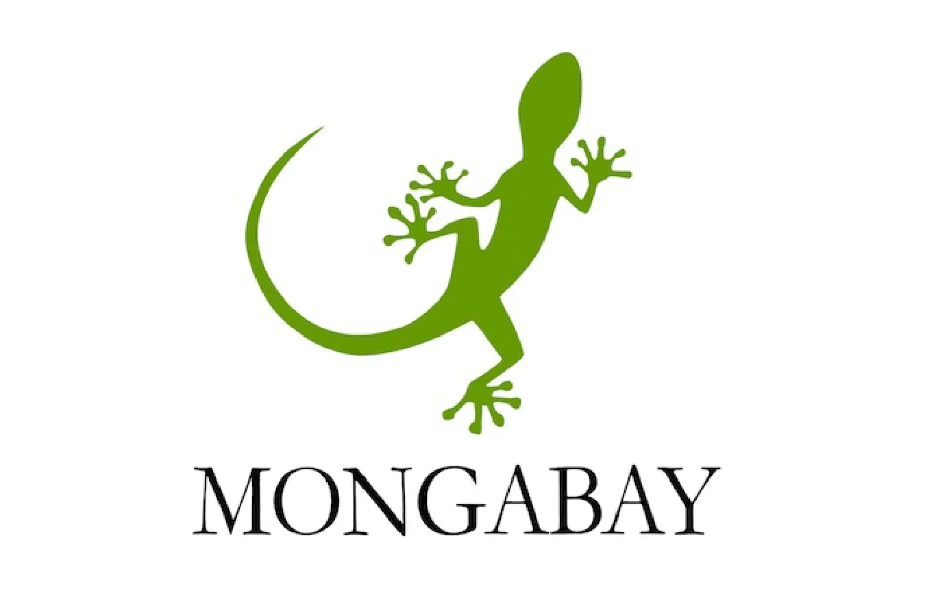 Mongabay