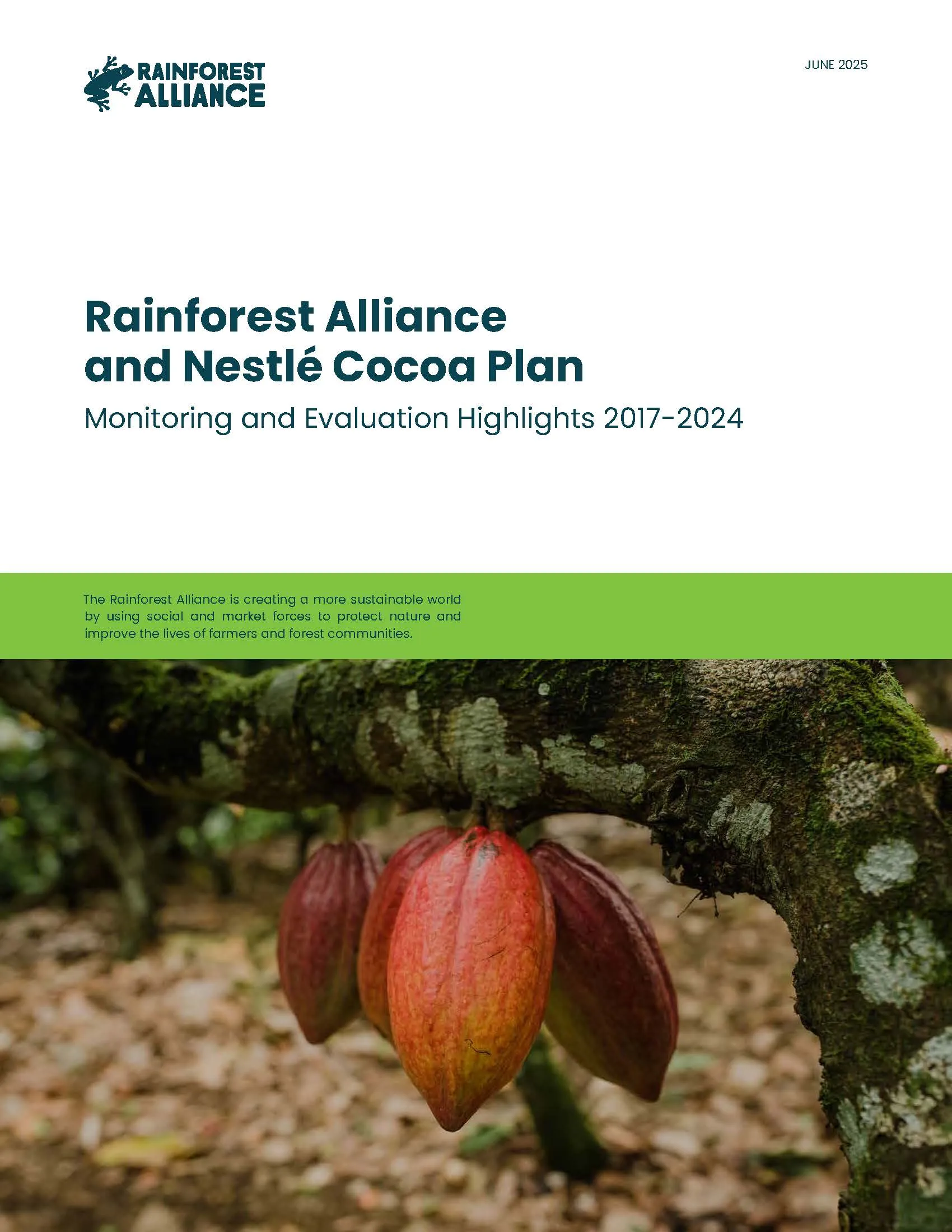 Thumbnail image of the Rainforest Alliance and Nestlé Cocoa Plan Summary Report 2024.