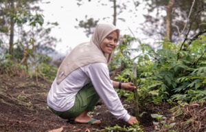 woman smiles as she crouches next to coffee plant