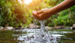 Hands Cupping Water from Forest Stream