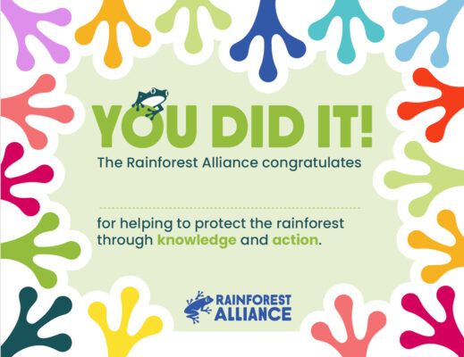 Student certificate of participation thumbnail.