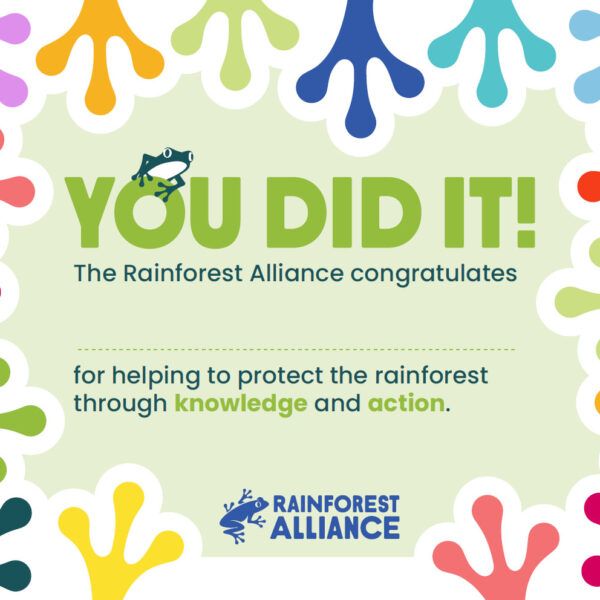 Student certificate of participation thumbnail.