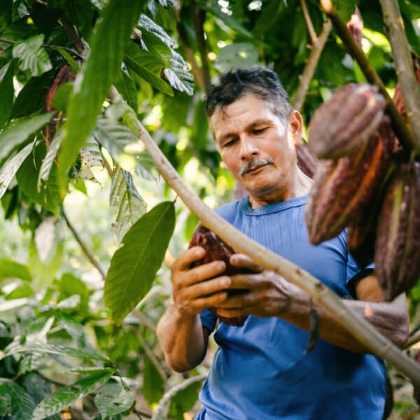 Cocoa farmer in Guaviare