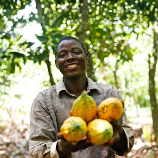 Ghanaian Farmer holding Cocoa