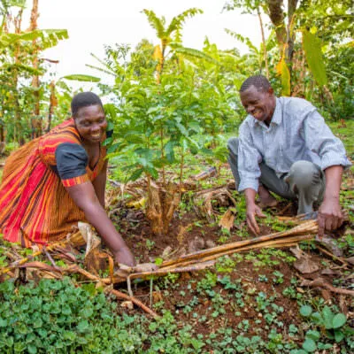 Coffee farmers from Uganda: Anna and Alfred.