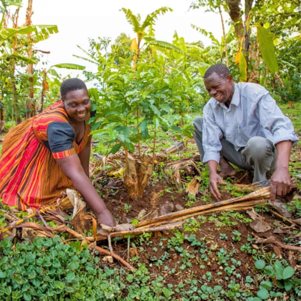 Coffee farmers from Uganda: Anna and Alfred.