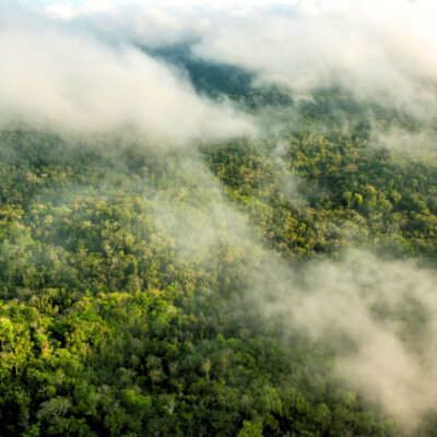 Forest through the clouds: Maya Biosphere Reserve