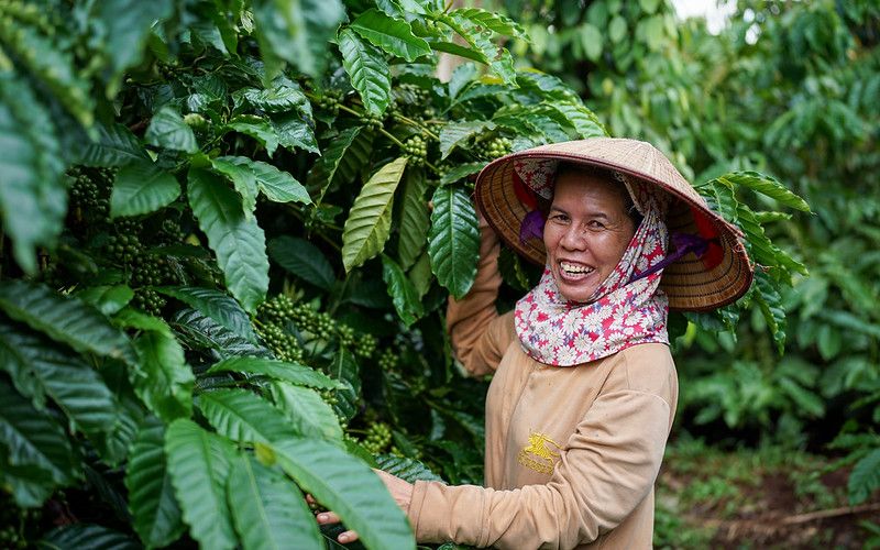 Farmer Truong Thi Mâu 