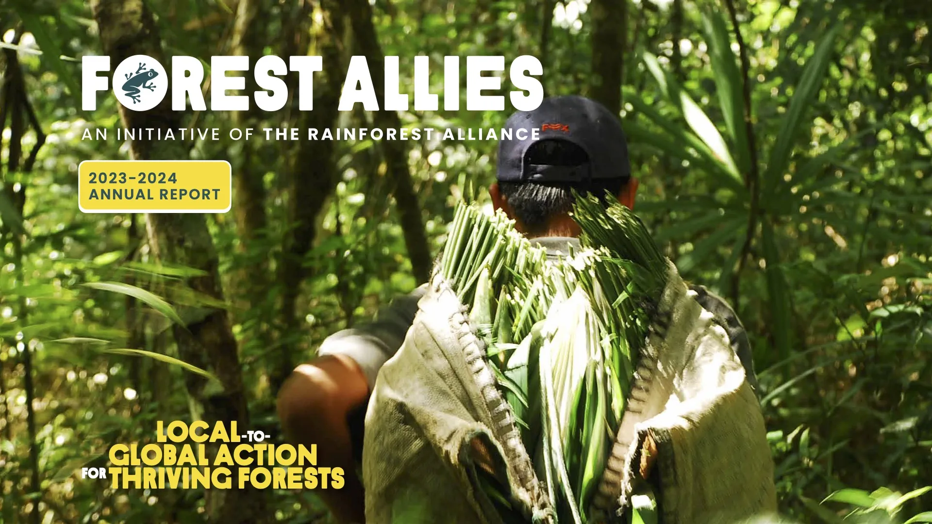 Forest Allies 2023-2024 Annual report cover