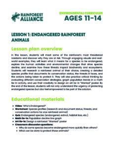 Lesson 1 thumbnail: Endangered Rainforest Animals (Ages 11–14).