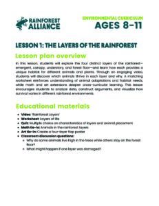 Lesson 1 thumbnail: Layers of the Rainforest (Ages 8–11).