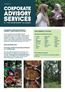 Corporate Advisory Services brochure thumbnail.