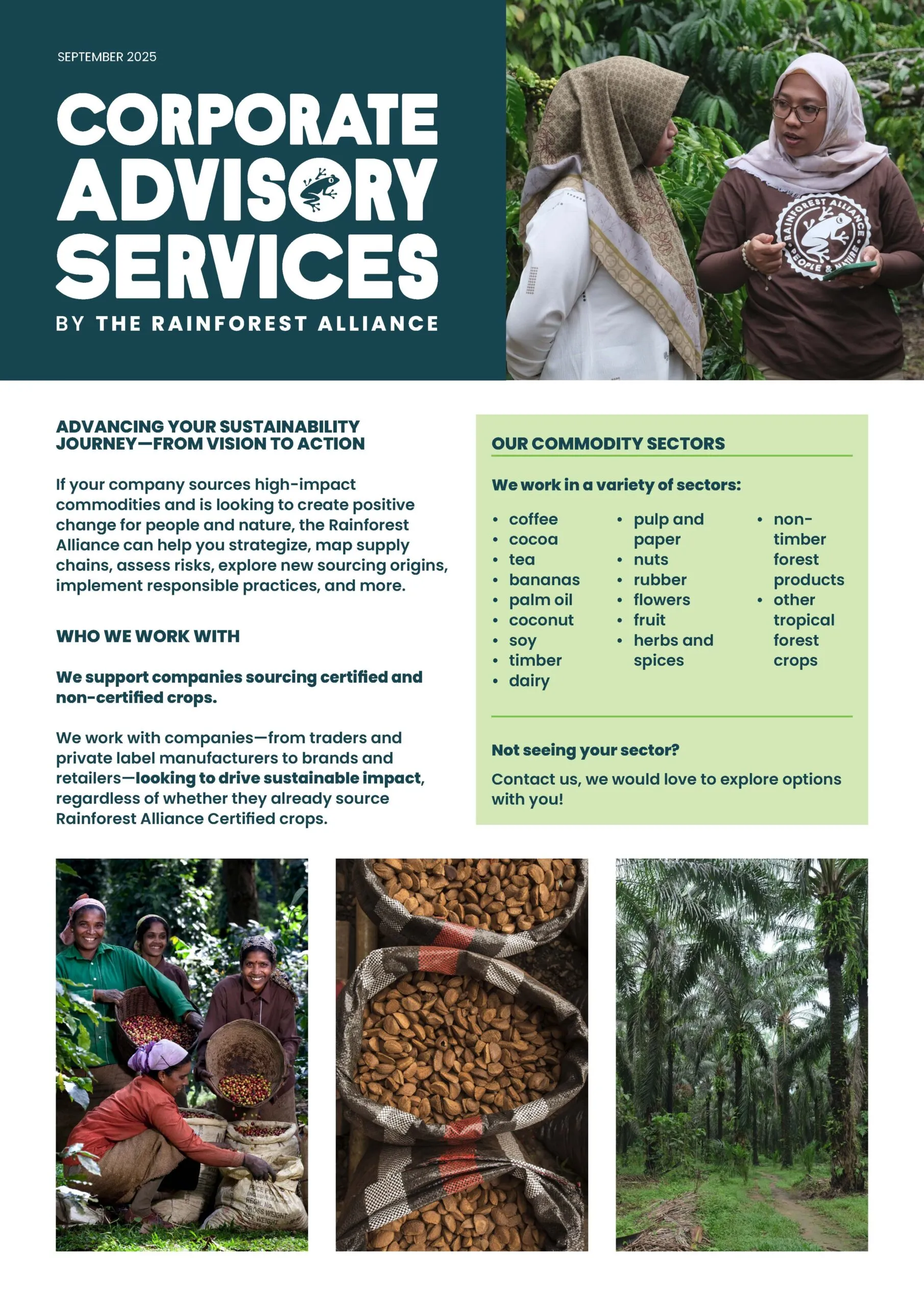 Corporate Advisory Services brochure thumbnail.