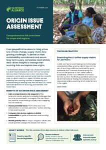 Origin Issue Assessment sell sheet thumbnail.