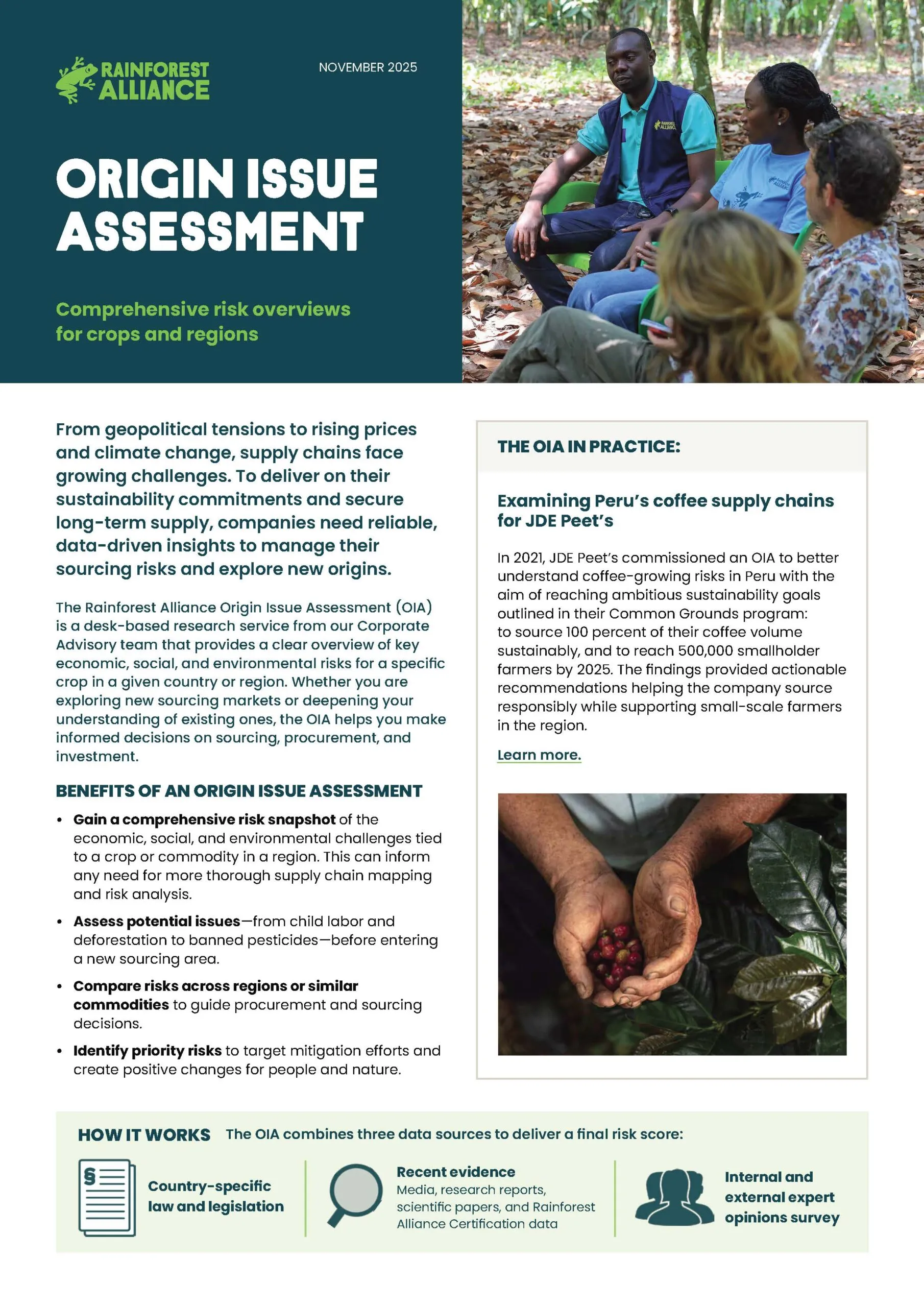 Origin Issue Assessment sell sheet thumbnail.