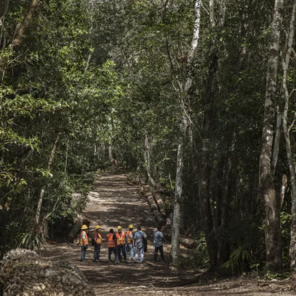 Group of people in forest in Yucatán, Mexico