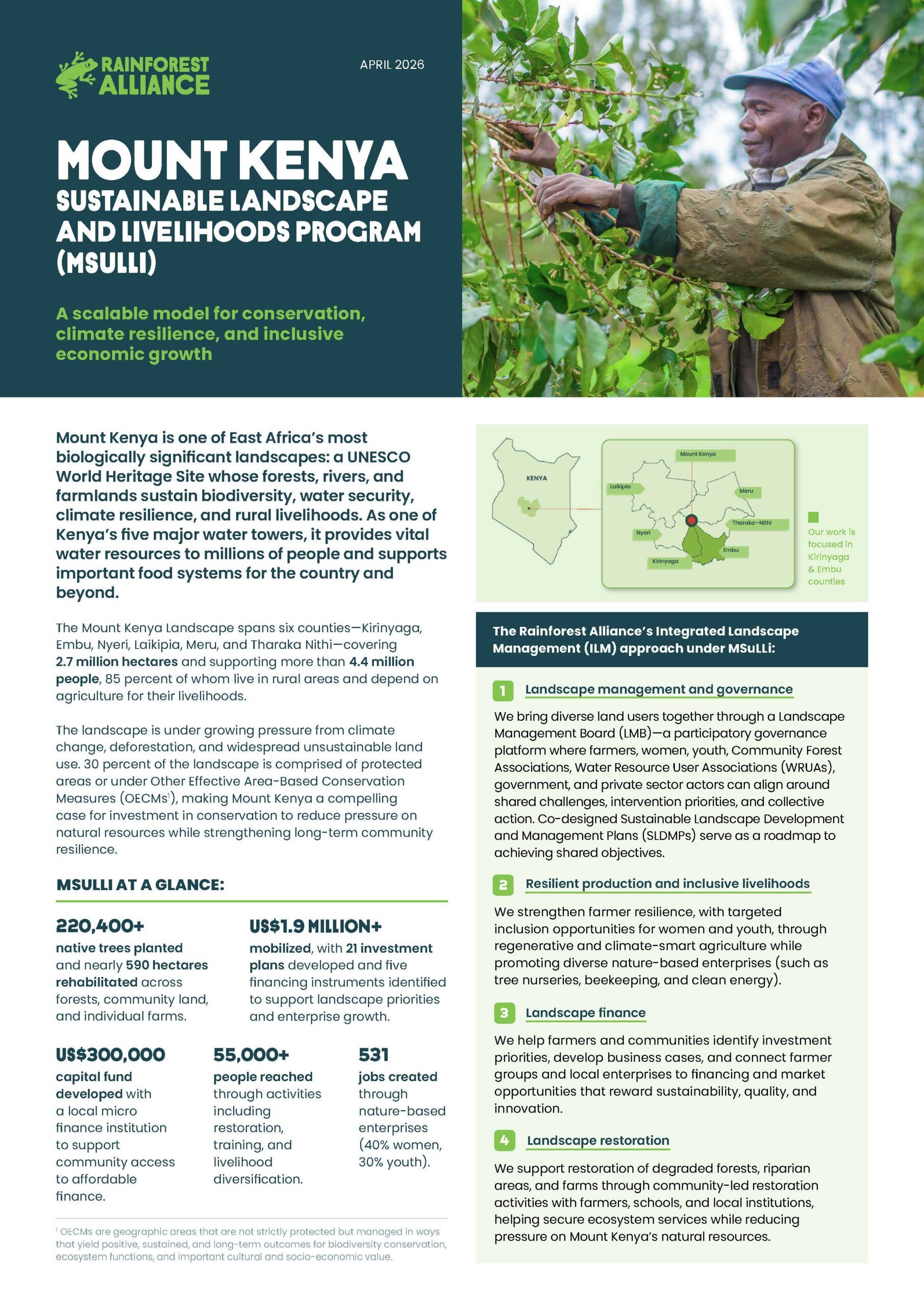 Mount Kenya Sustainable Landscape and Livelihoods Program (MSulli) cover