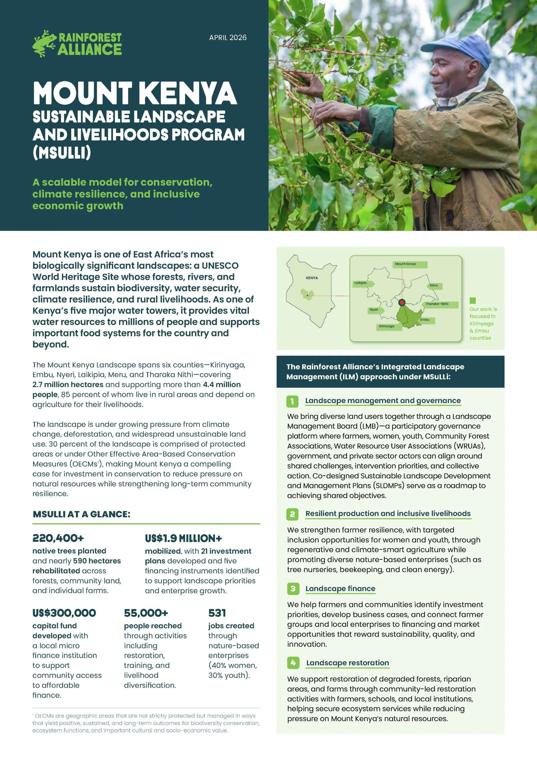 Mount Kenya Sustainable Landscape and Livelihoods Program (MSulli) cover