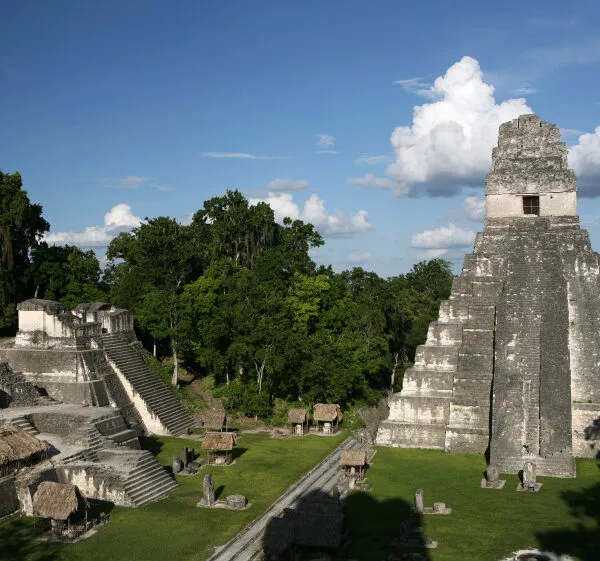 Selva Maya landscape